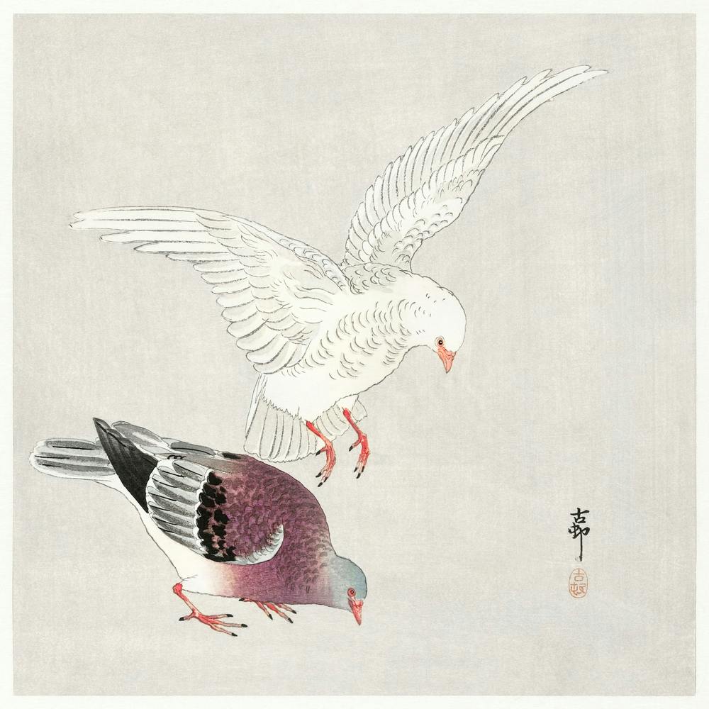 Two Pigeons (1877 1945), Ohara Koson
