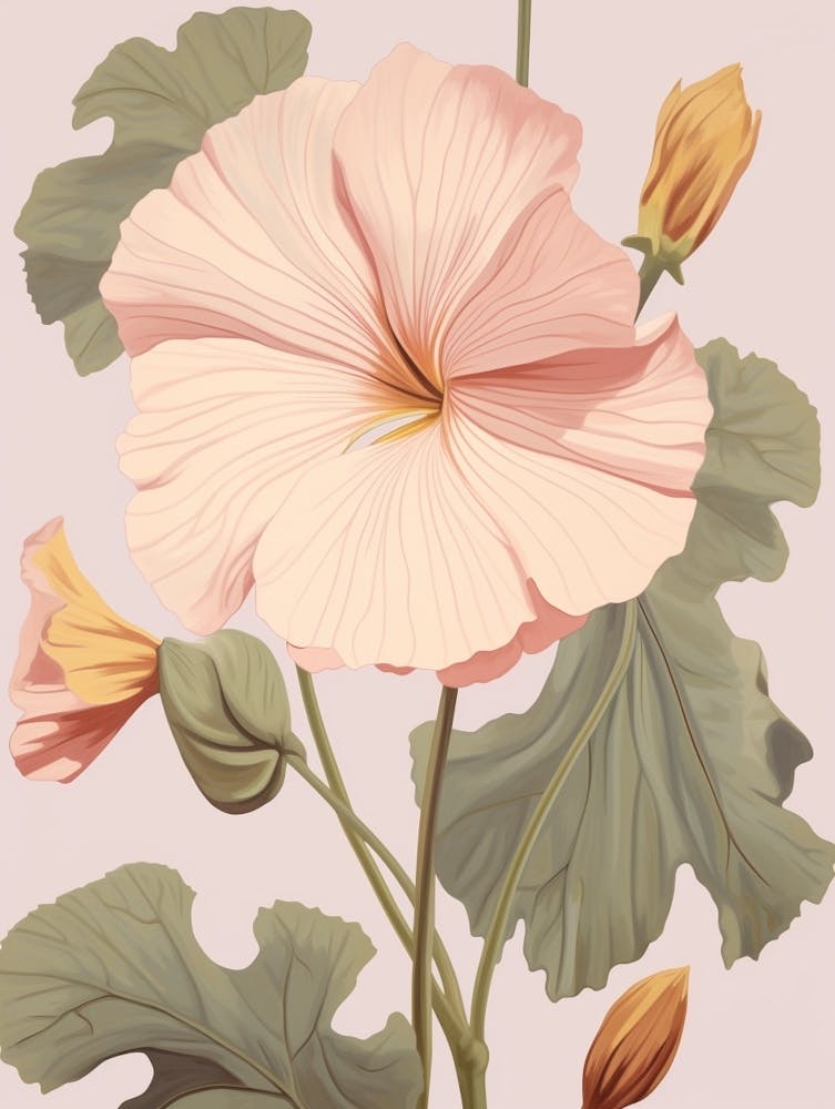 Floral Illustration Nasturtium 2