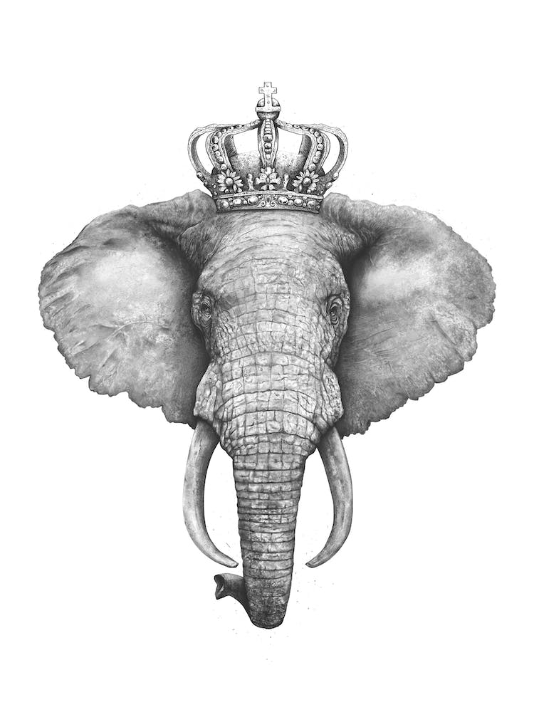 The King Elephant