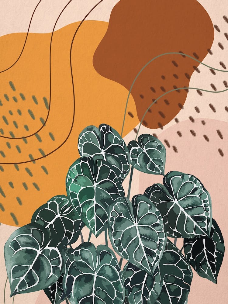 Abstract Shapes Anthurium Plant