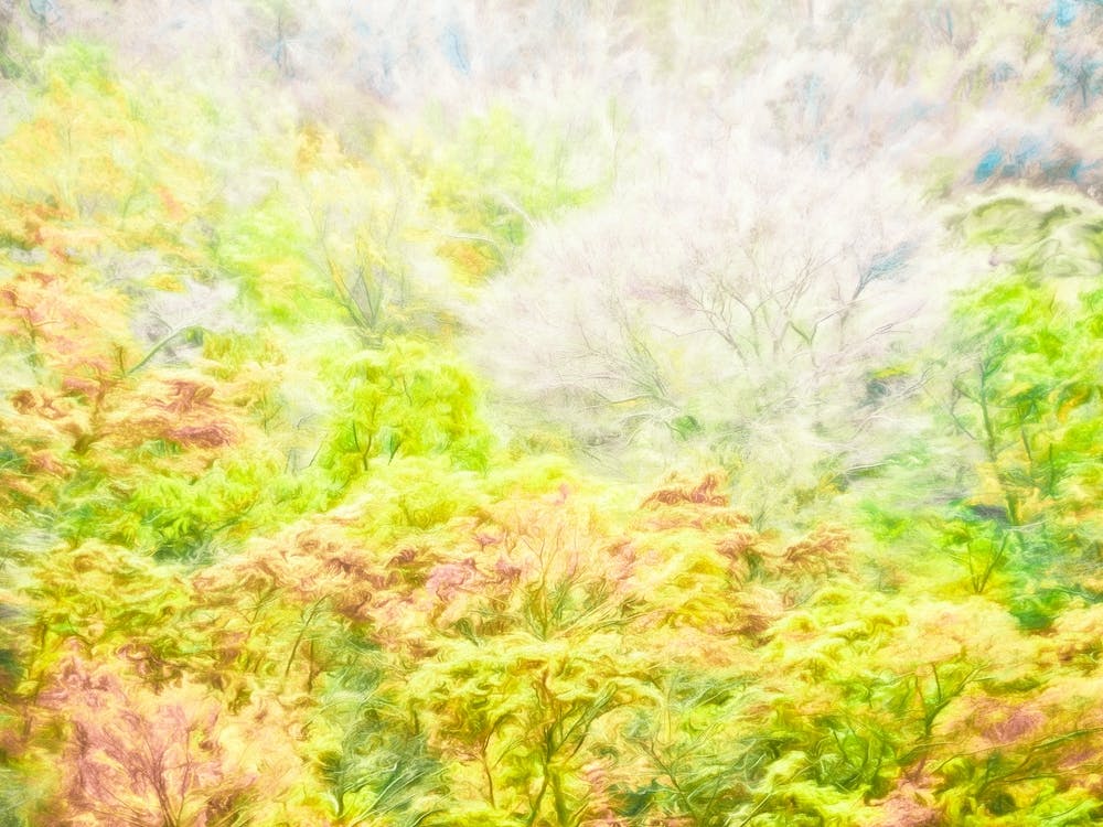 The Frozen Tree Landscape