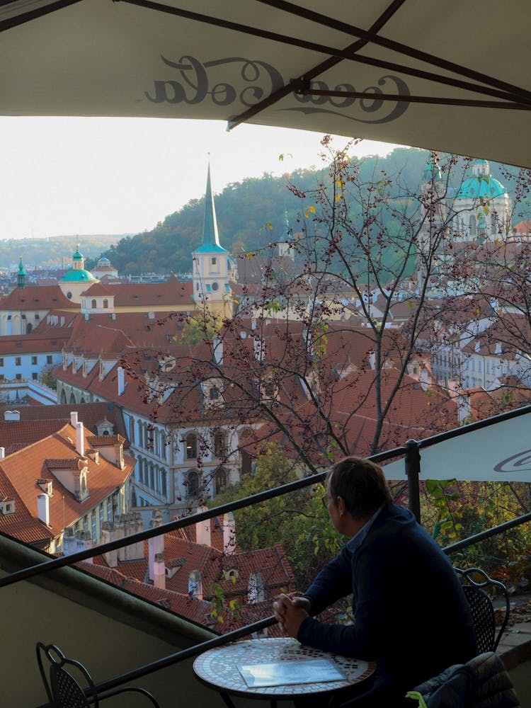 Man Looking Over Prague 1