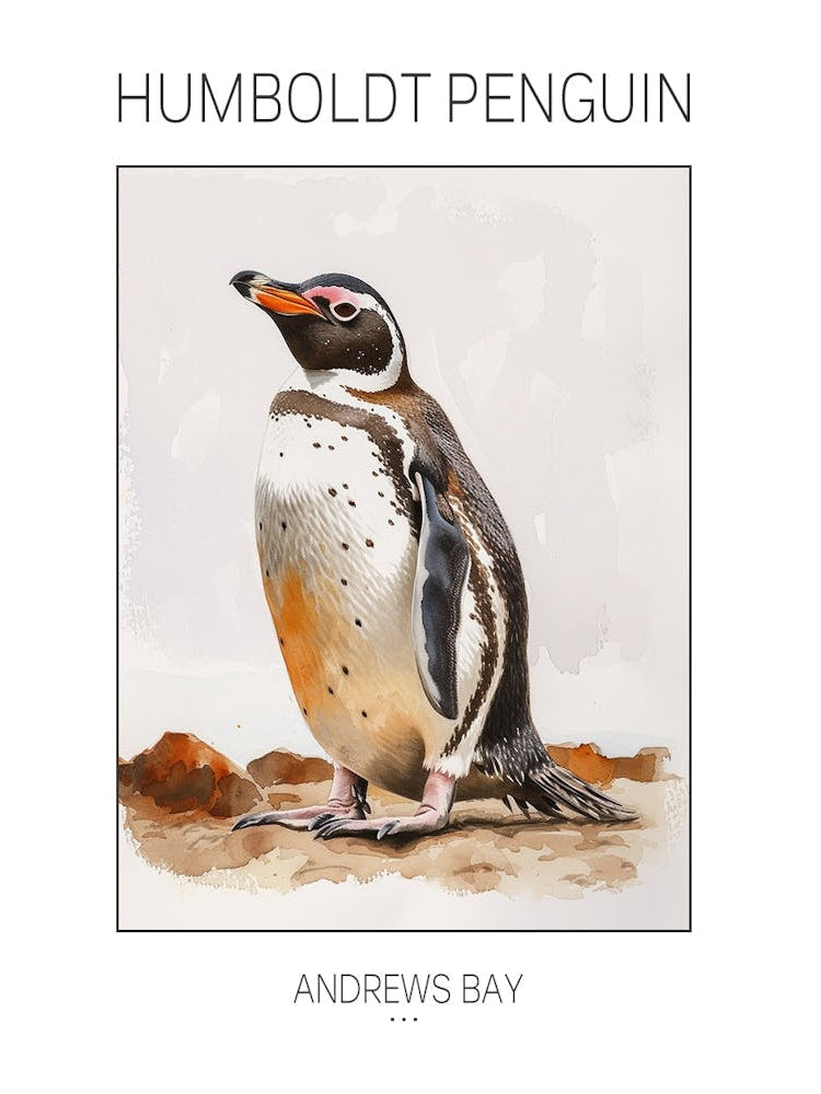 Humboldt Penguin Andrews Bay Watercolour Painting 3 Poster