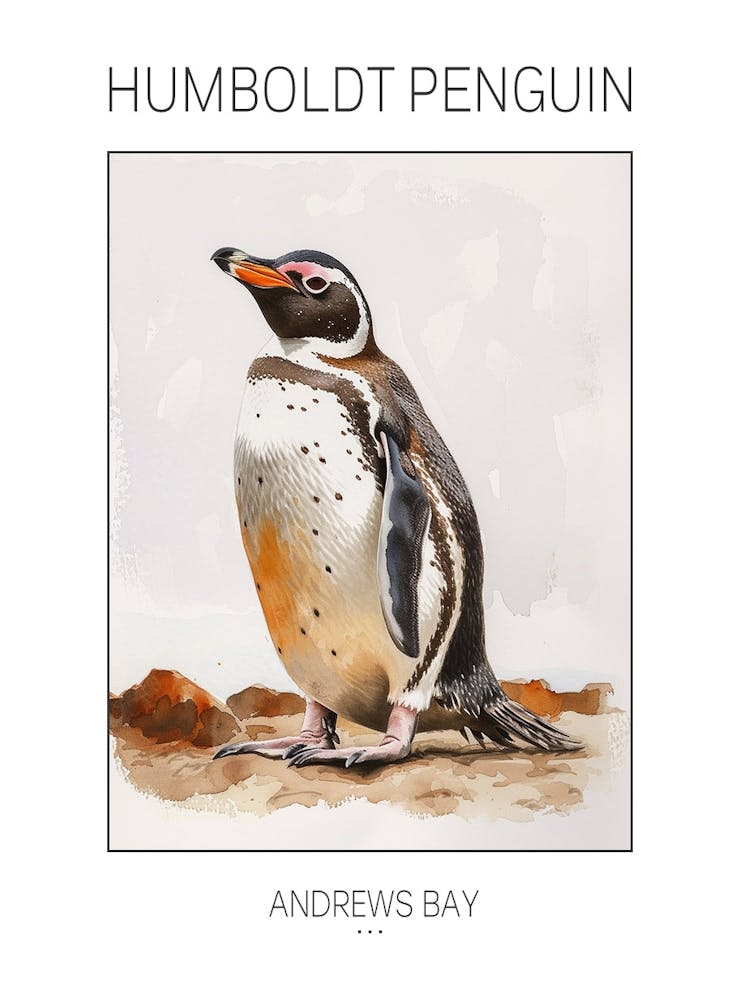 Humboldt Penguin Andrews Bay Watercolour Painting 3 Poster