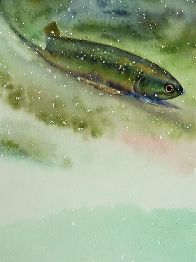 Eel Storybook Watercolour