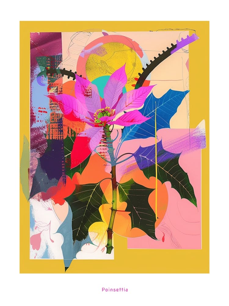 Poinsettia 1 Affiche Collage Fleur Néon