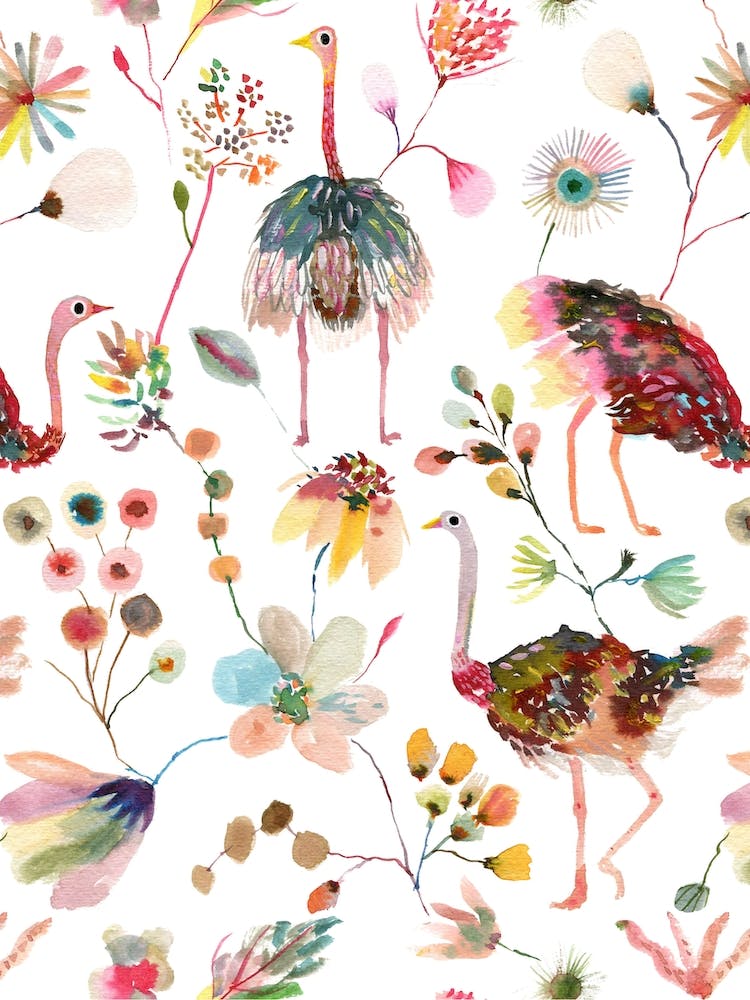 Ostriches And Floral