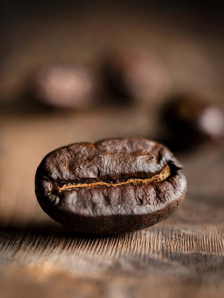 A Photo Of A Macro Shot Of A Single Coffee Bean