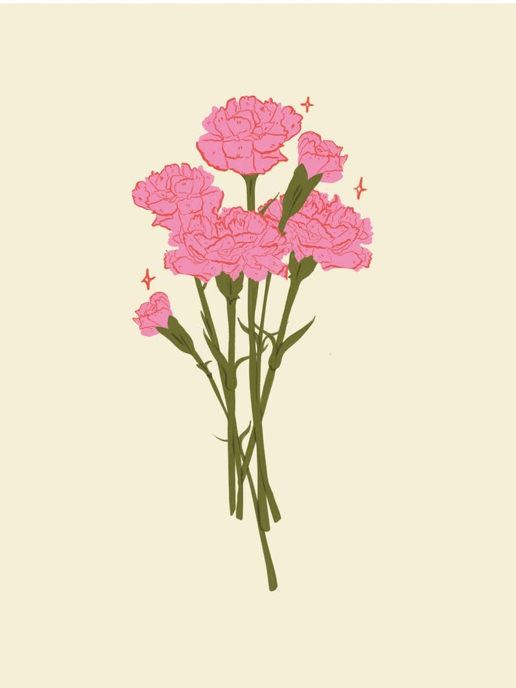 Carnation