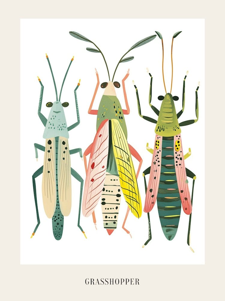 Colourful Insect Illustration Grasshopper 1 Poster