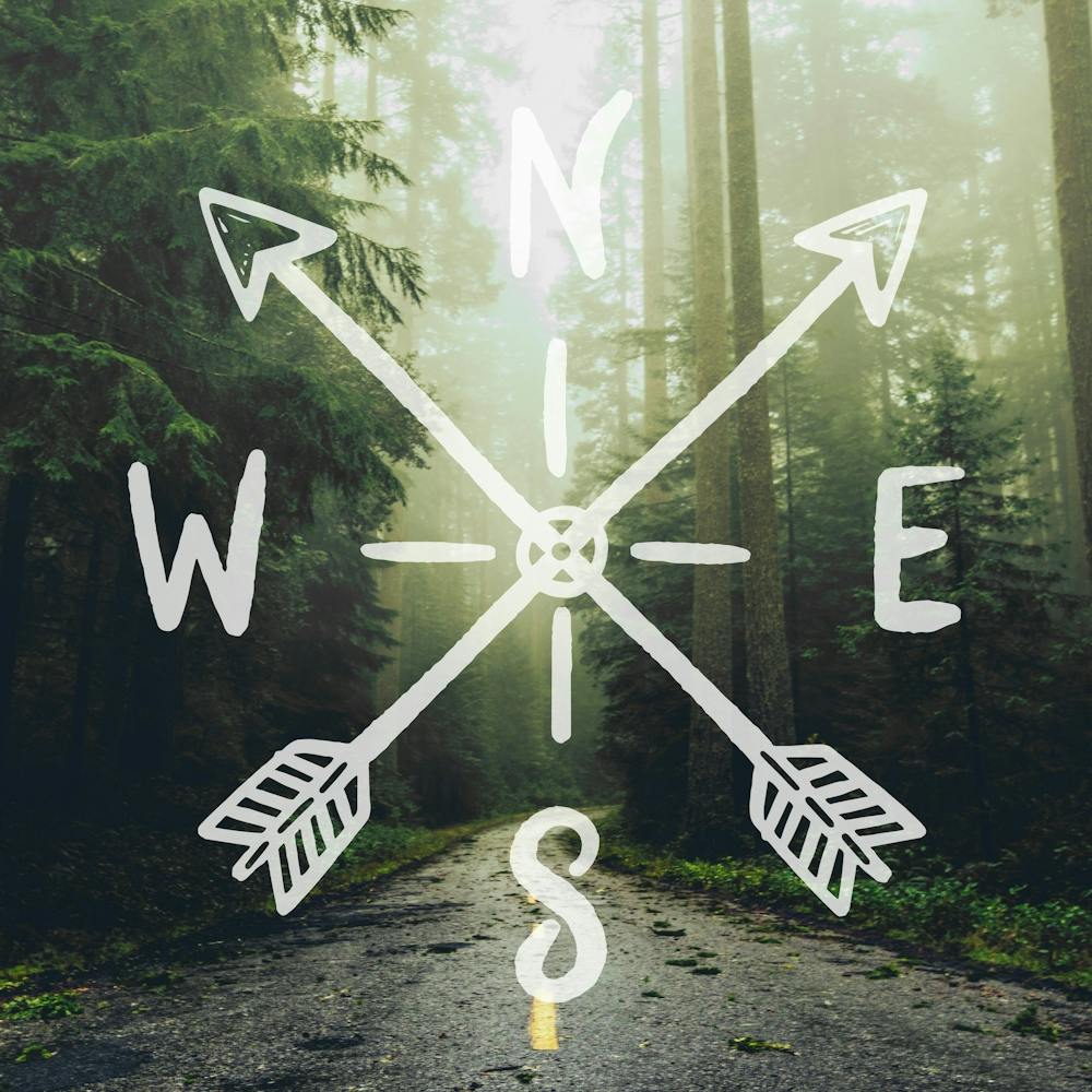 Redwood Forest Road Compass