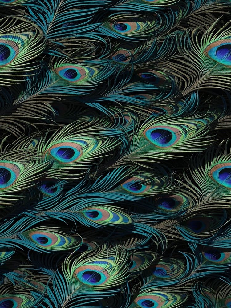 Peacock Feathers Feathers Pattern Seamless Pattern