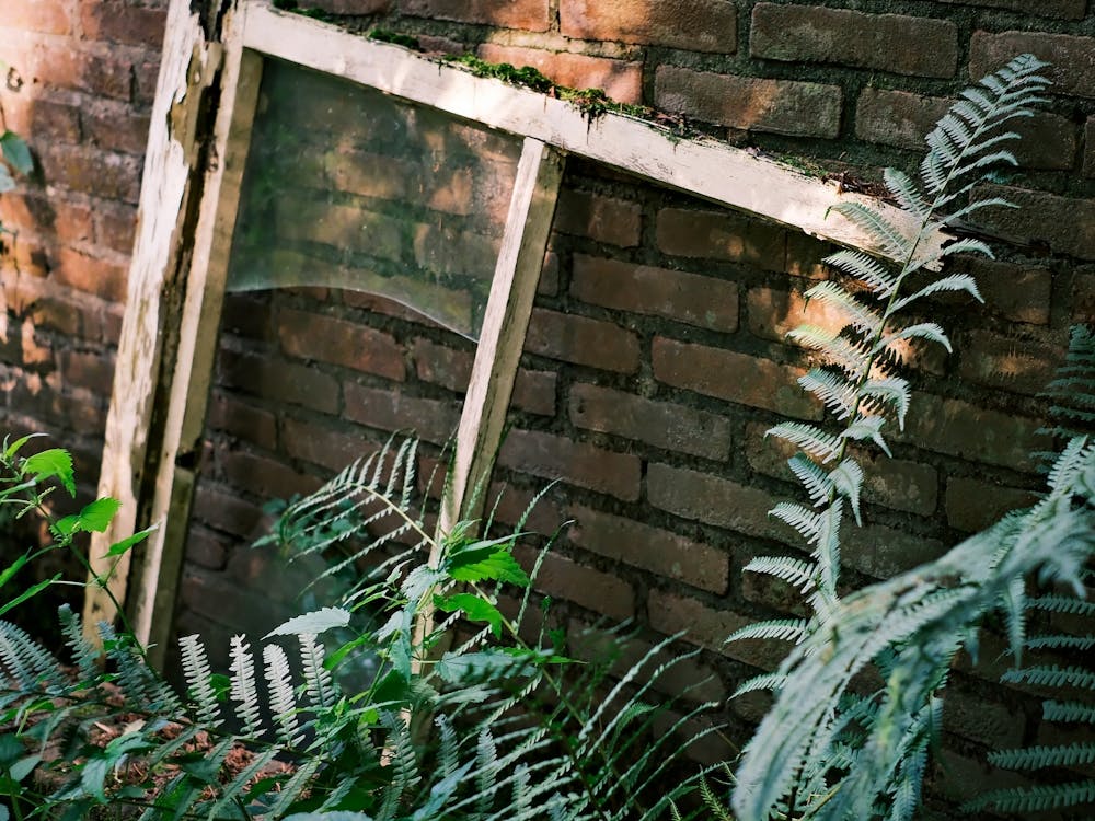 Abandoned Window // The Netherlands Travel Photography