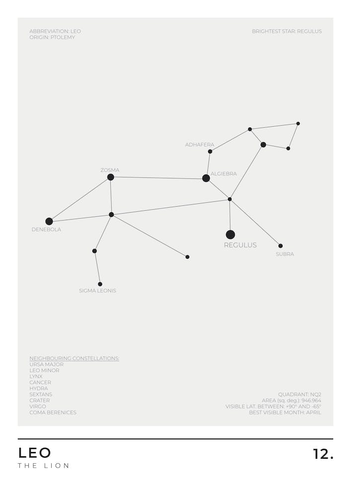 Leo Sign Constellation Zodiac