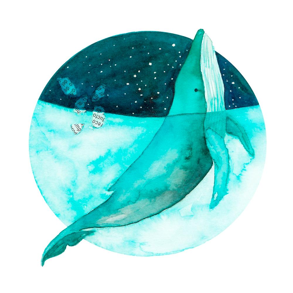 Cosmic Whale 2