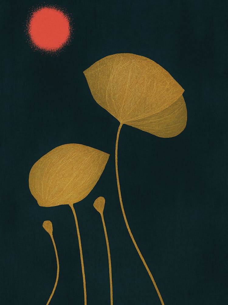 Moonshine Dancers Lotus Flower