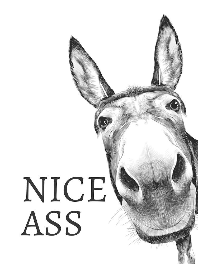 Nice Ass