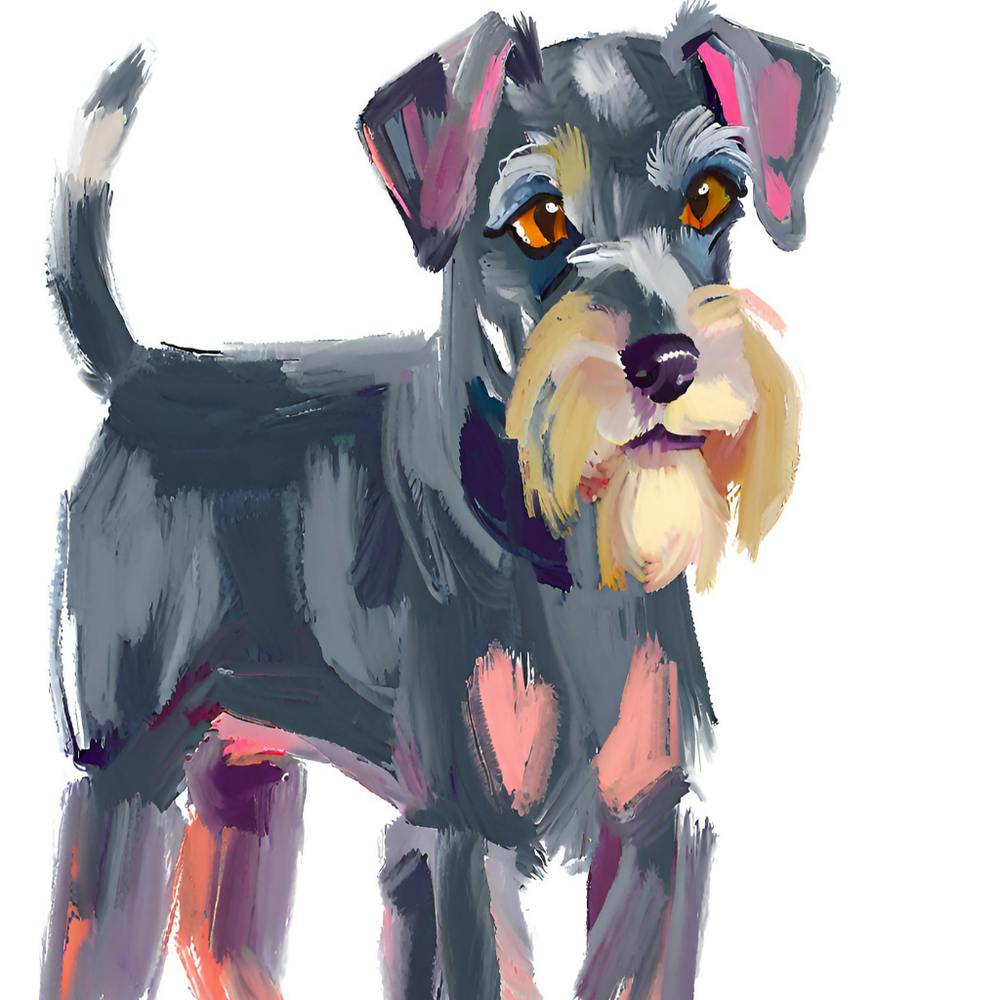 Miniature Schnauzer 04
