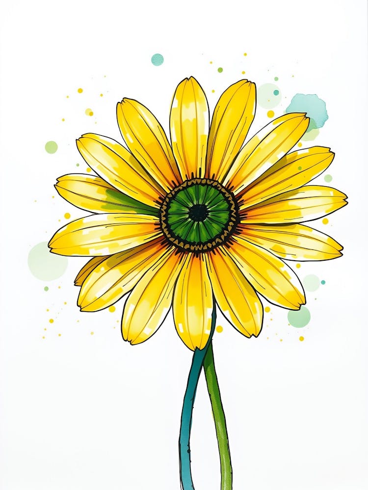 Yellow Daisy