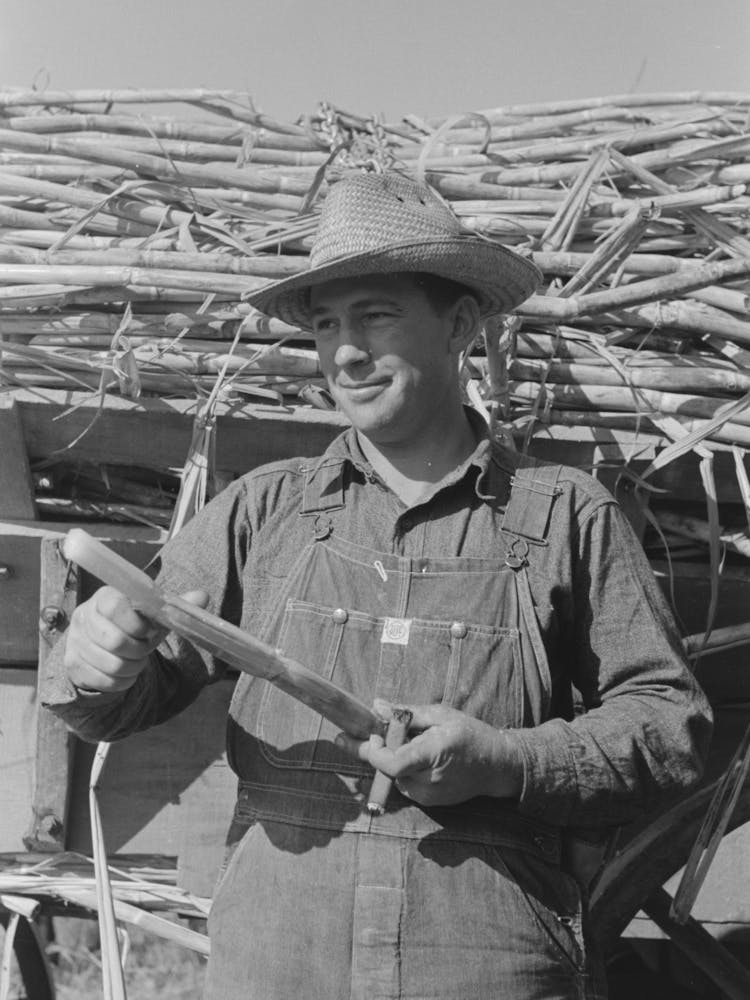 Untitled Photo, Possibly Related To Sugarcane Worker, Louisiana By Russell Lee