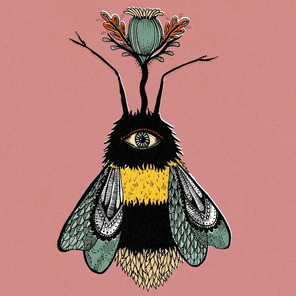 The Peculiar Bumblebee Square