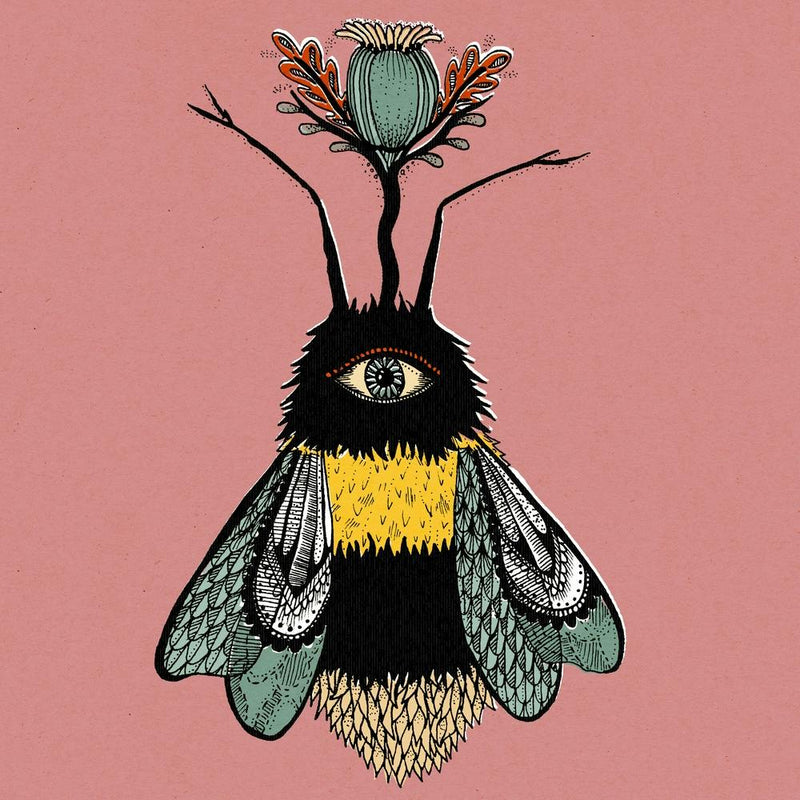 The Peculiar Bumblebee Square