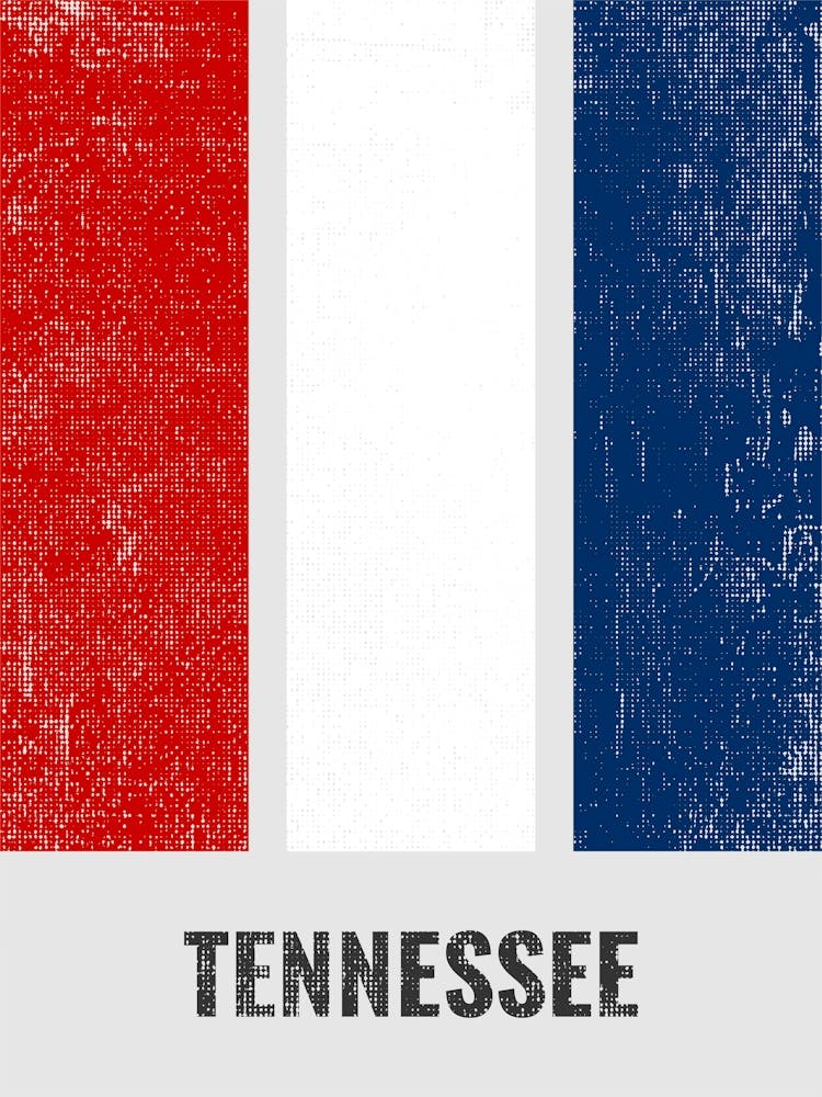 Vintage Minimalist Tennessee State Flag Colors
