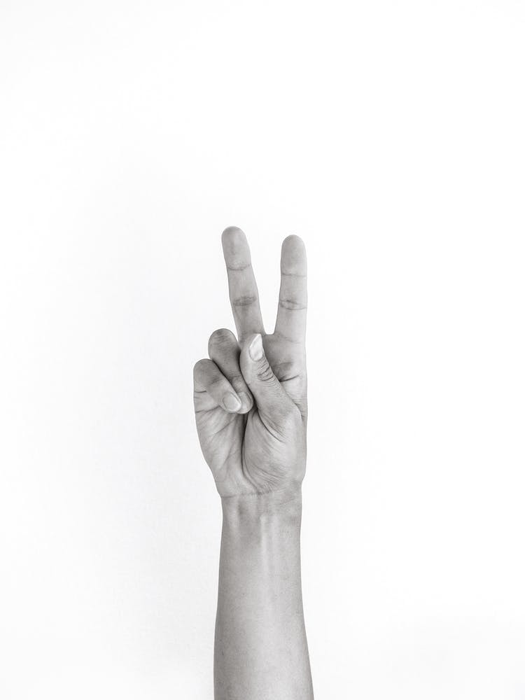 Hands 5 Vegan Peace