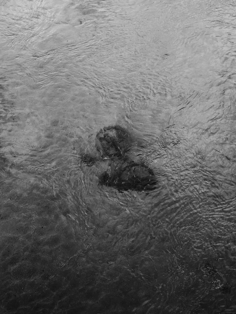 Bike In The Canal, Black And White St Sebastian, Spain