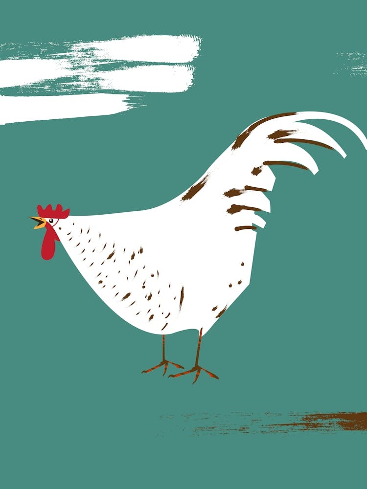 Rooster