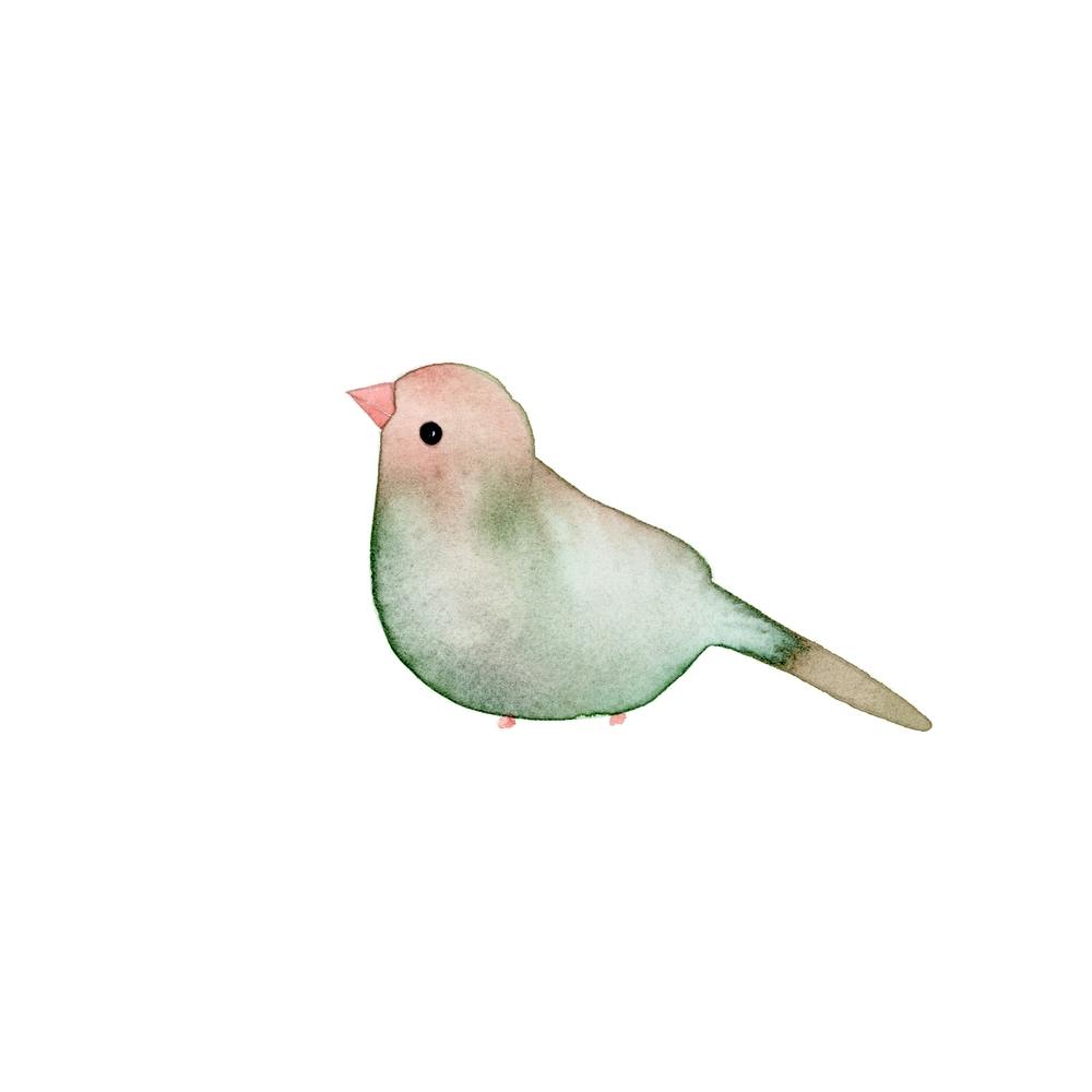 Blushing Bird Autumn Green Square