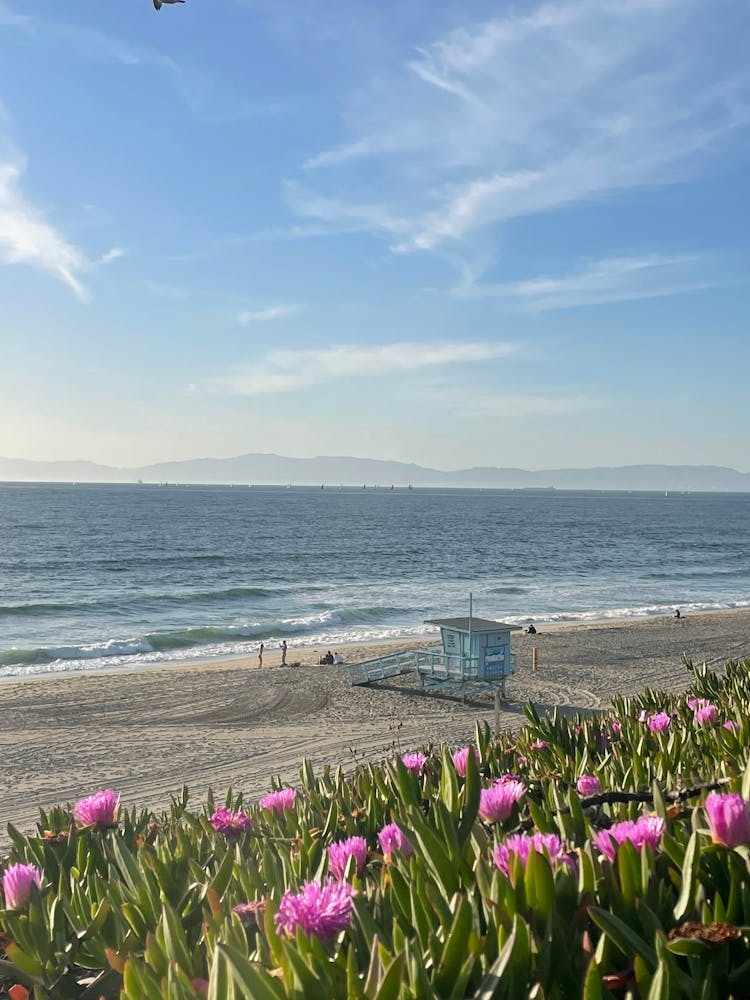 Redondo beach