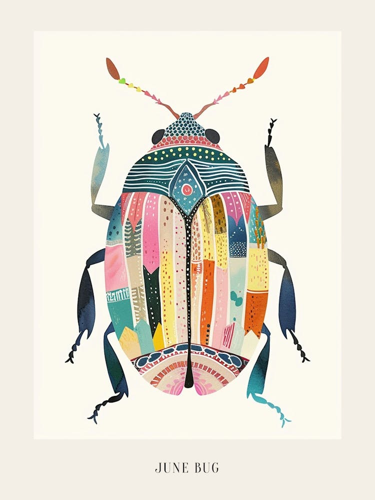 Colourful Insect Illustration June Bug 17 Poster