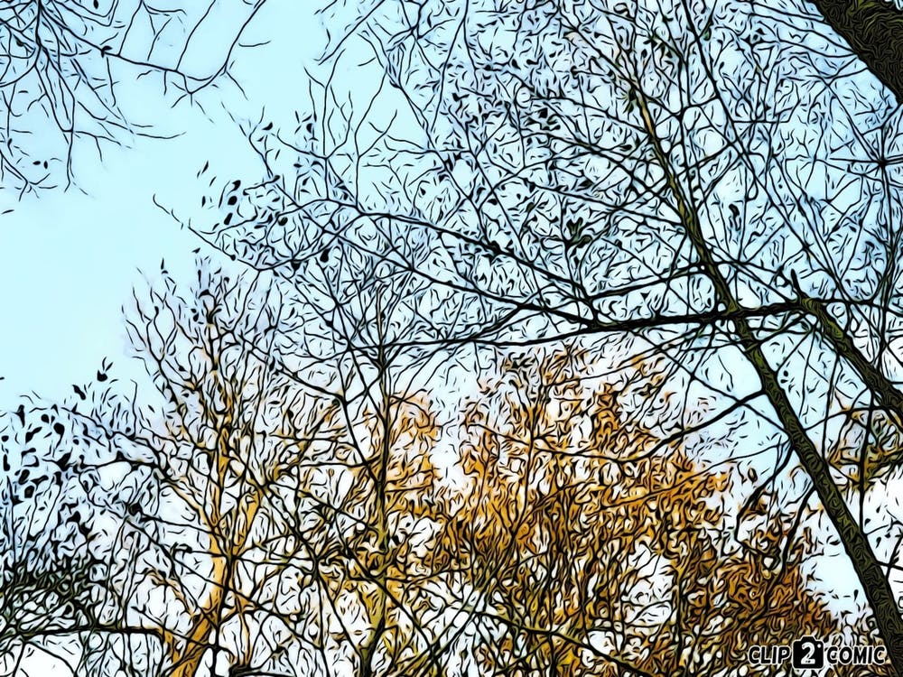 Autumn Trees