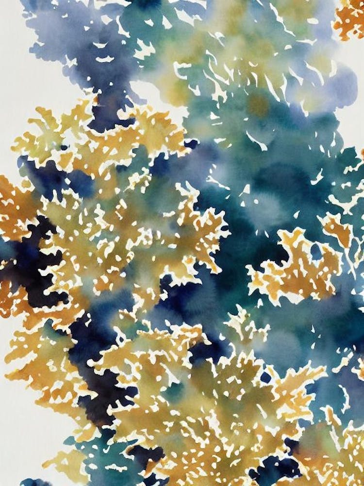 Acropora Pulchra Vintage Graphic Watercolour