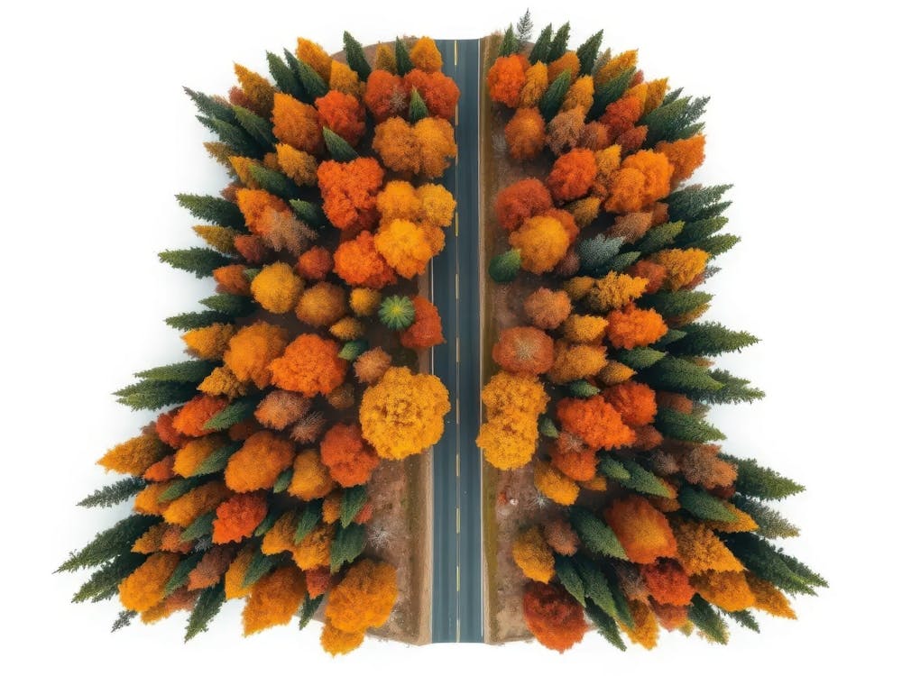 Autumn Trees 3