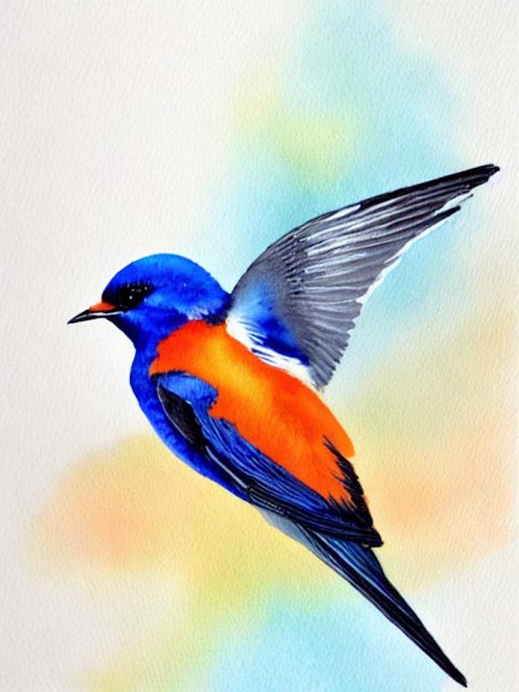 Barn Swallow Watercolour Bird