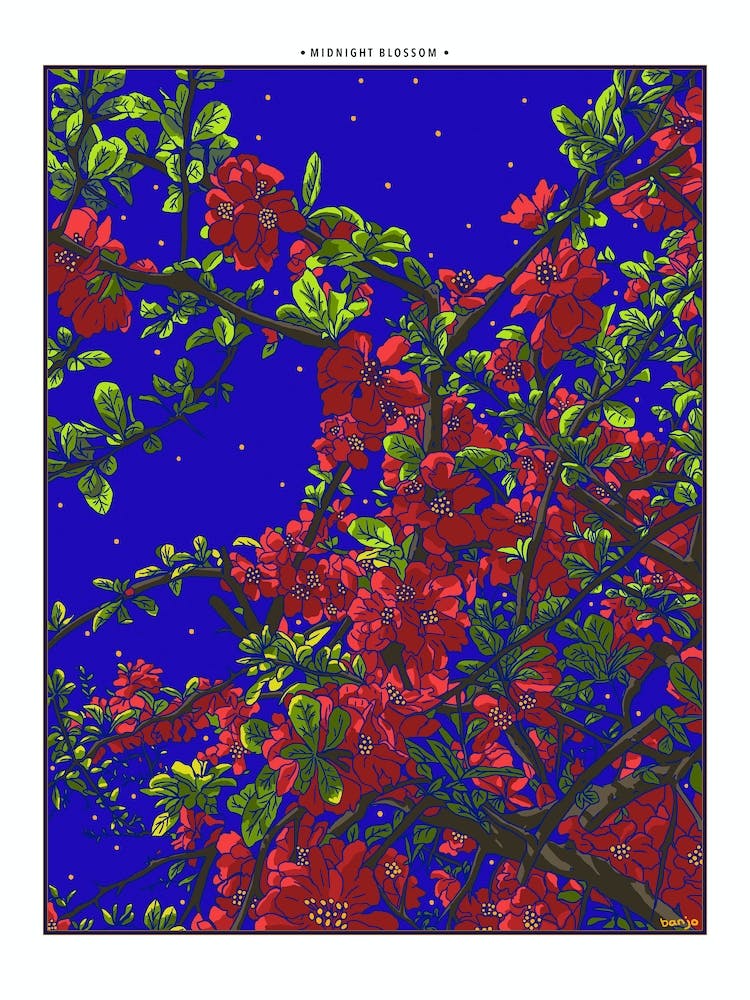 Midnight Blossom