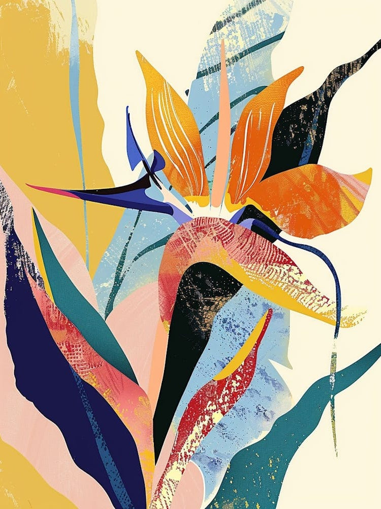 Colourful Flower Illustration Bird Of Paradise 3