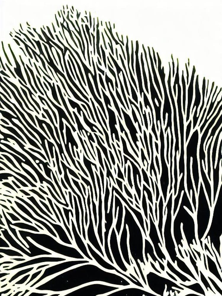 Acropora Jacquelineae Iii Linocut