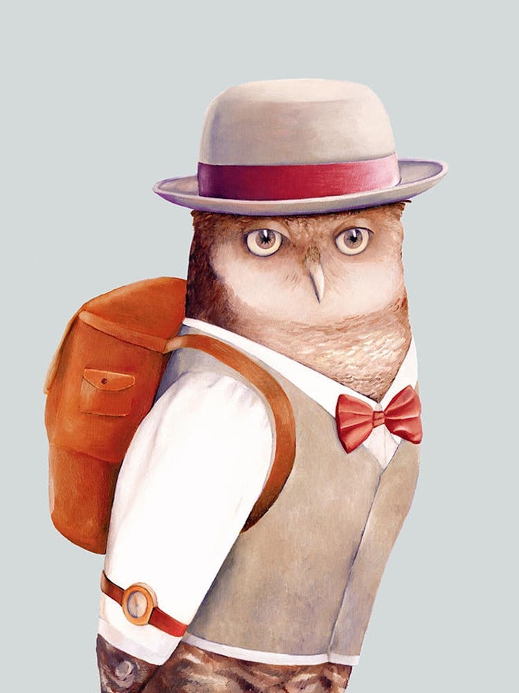 Owl In A Hat