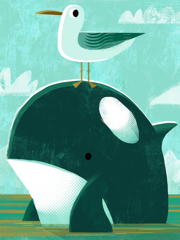 Orca With Pesky Gull