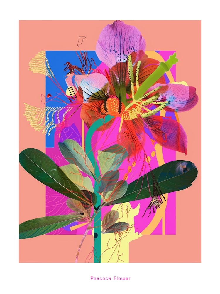 Peacock Flower (Caesalpinia) 4 Neon Flower Collage Poster