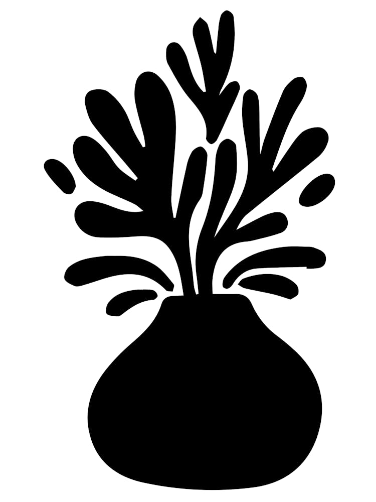 Plant In A Vase