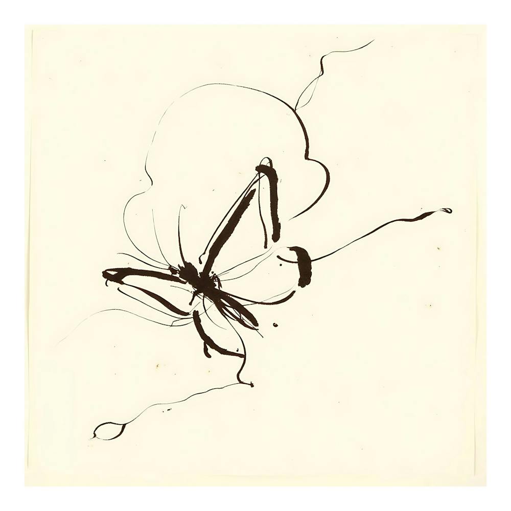 Harmony In Chaos 1