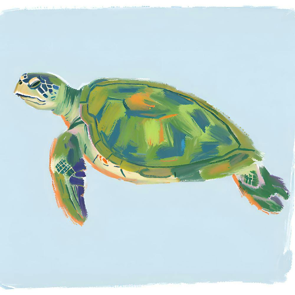 Green Sea Turtle 08
