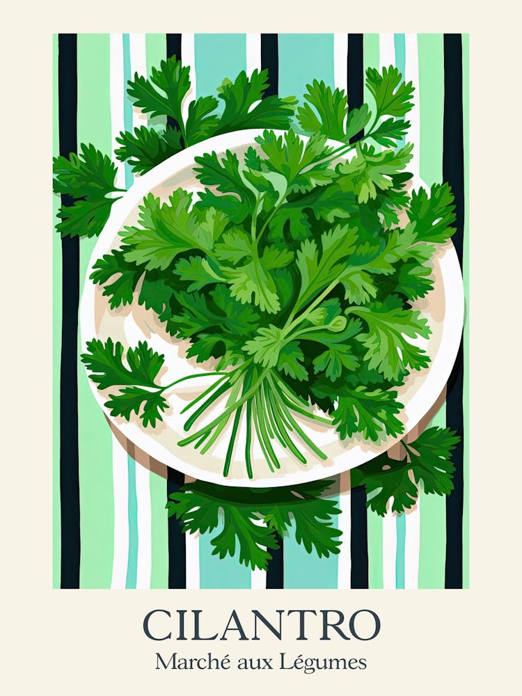Marche Aux Legumes Cilantro Summer Illustration 1