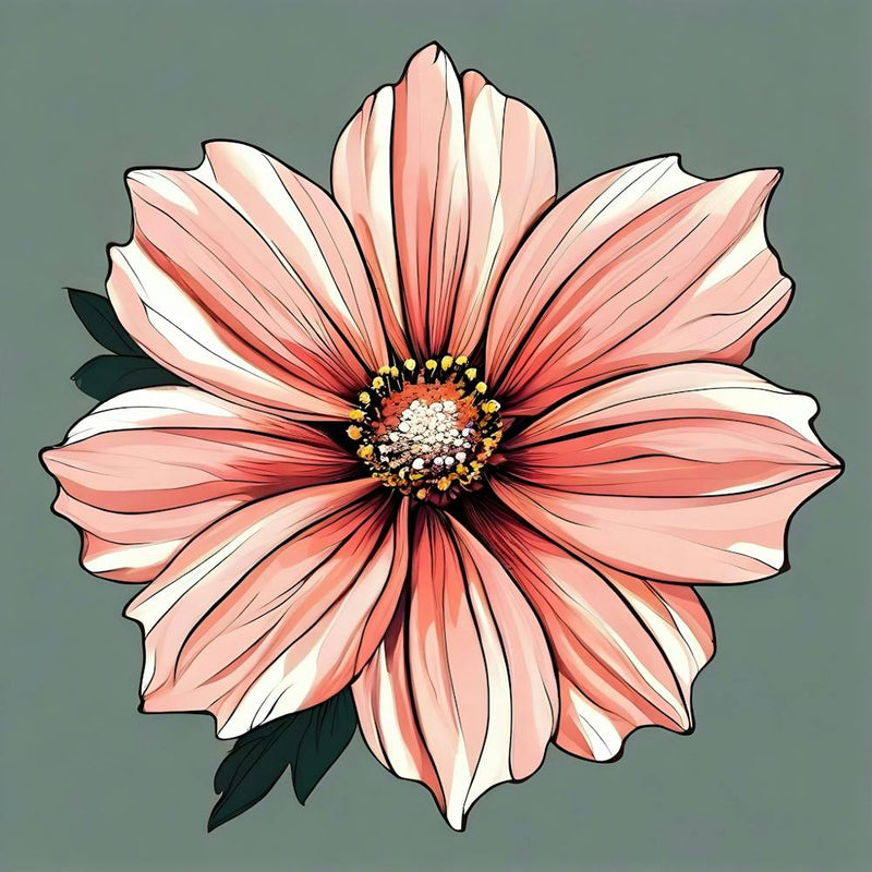 Pink Dahlia 1