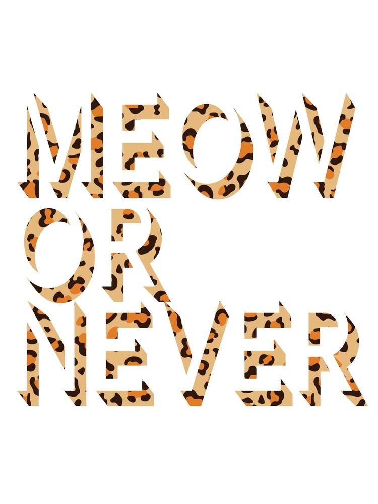 Meow Or Never