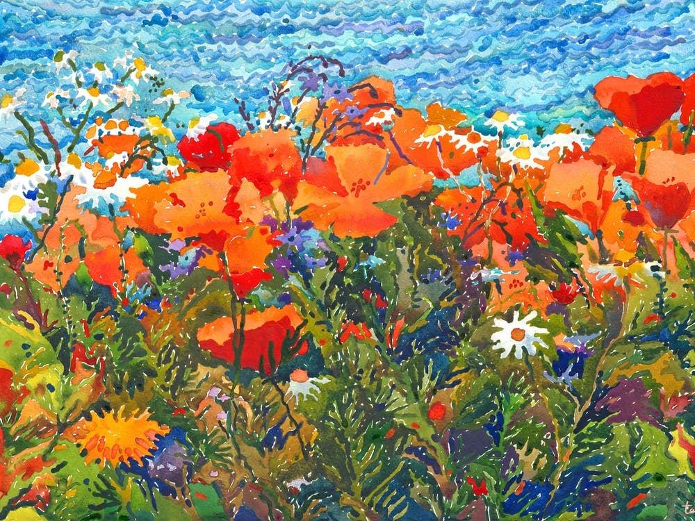 Namaqualand National Park